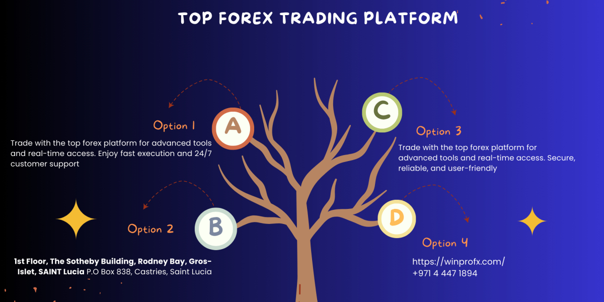 What are the most popular forex trading platforms available today?